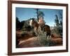 La derniere caravane The Last Wagon by DelmerDaves with Richard Widmark, 1956 (photo)-null-Framed Photo