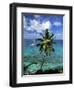 La Digue Island, Seychelles-Gavin Hellier-Framed Photographic Print