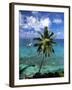 La Digue Island, Seychelles-Gavin Hellier-Framed Photographic Print