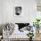 La Dolce Vita, Anita Ekberg, 1960-null-Framed Photo displayed on a wall
