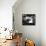 La Dolce Vita-null-Framed Stretched Canvas displayed on a wall