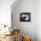 La Dolce Vita-null-Mounted Photo displayed on a wall