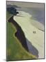 La Falaise De La Greve Blanche, 1913-Felix Vallotton-Mounted Premium Giclee Print