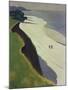 La Falaise De La Greve Blanche, 1913-Felix Vallotton-Mounted Premium Giclee Print