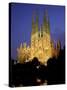 La Familia Cathedral, Barcelona, Spain-Jon Arnold-Stretched Canvas