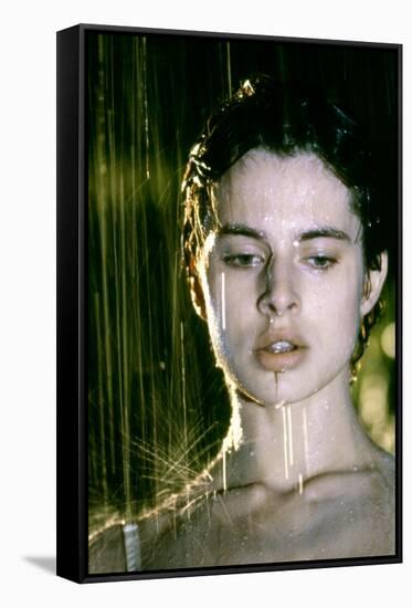 La feline CAT PEOPLE by Paul Schrader with Nastassja Kinski, 1982 (photo)-null-Framed Stretched Canvas