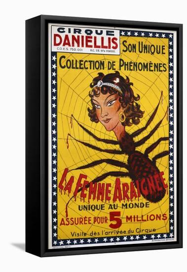 La Femme Araignee Poster-null-Framed Stretched Canvas