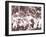 La Fete De Juillet Celebration, Tahiti, Late 1800s-Charles Gustave Spitz-Framed Photographic Print