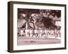 La Fete De Juillet Celebration, Tahiti, Late 1800s-Charles Gustave Spitz-Framed Photographic Print