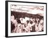 La Fete De Juillet Celebration, Tahiti, Late 1800s-Charles Gustave Spitz-Framed Photographic Print