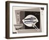 La Fin d'Une Sardine-Jean Marc Chamard-Framed Art Print