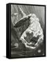 La Fin De Satan, 19th Century-Jean Paul Laurens-Framed Stretched Canvas