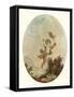 La Folie-Jean-Honore Fragonard-Framed Stretched Canvas