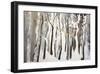 La forêt blanche-Kathleen Cloutier-Framed Art Print