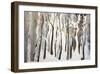 La forêt blanche-Kathleen Cloutier-Framed Art Print