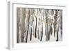 La forêt blanche-Kathleen Cloutier-Framed Art Print