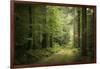 La Foret De Carnoet En Bretagne-Philippe Manguin-Framed Photographic Print