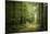 La Foret De Carnoet En Bretagne-Philippe Manguin-Mounted Photographic Print