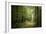 La Foret De Carnoet En Bretagne-Philippe Manguin-Framed Photographic Print