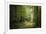 La Foret De Carnoet En Bretagne-Philippe Manguin-Framed Photographic Print