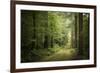 La Foret De Carnoet En Bretagne-Philippe Manguin-Framed Photographic Print