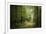 La Foret De Carnoet En Bretagne-Philippe Manguin-Framed Photographic Print