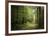 La Foret De Carnoet En Bretagne-Philippe Manguin-Framed Photographic Print