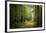 La Foret De Carnoet En Bretagne-Philippe Manguin-Framed Premium Photographic Print