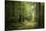 La Foret De Carnoet En Bretagne-Philippe Manguin-Stretched Canvas