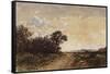 La forêt de Fontainebleau aux environs de Barbizon-Félix Ziem-Framed Stretched Canvas