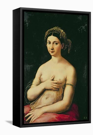 La Fornarina, circa 1516-Raphael-Framed Stretched Canvas