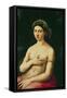 La Fornarina, circa 1516-Raphael-Framed Stretched Canvas