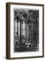 La Galerie Notre-Dame, C1841-1868-Charles Meryon-Framed Giclee Print