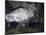 La gare St Lazare-Claude Monet-Mounted Giclee Print