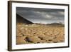 La Geria, Lanzarote, Canary Islands, Spain, Atlantic, Europe-Markus Lange-Framed Photographic Print