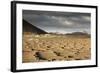 La Geria, Lanzarote, Canary Islands, Spain, Atlantic, Europe-Markus Lange-Framed Photographic Print