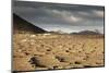 La Geria, Lanzarote, Canary Islands, Spain, Atlantic, Europe-Markus Lange-Mounted Photographic Print