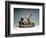 La Gimblette, Sculpture-Claude Michel Clodion-Framed Giclee Print