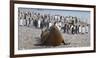 La Gioconda-Sergey Kokinskiy-Framed Photographic Print