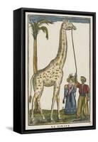 La girafe-null-Framed Stretched Canvas