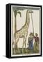 La girafe-null-Framed Stretched Canvas