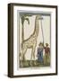 La girafe-null-Framed Giclee Print