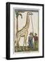 La girafe-null-Framed Giclee Print