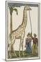 La girafe-null-Mounted Giclee Print