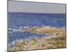 La Grande Bleue a Antibes, 1888-Claude Monet-Mounted Giclee Print