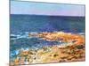 La Grande Bleue a Antibes, c.1888-Claude Monet-Mounted Art Print