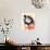La Grande Illusion-Bernard Lancy-Giclee Print displayed on a wall