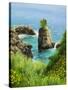 La Grotta On Island Corfu-kirilstanchev-Stretched Canvas