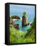 La Grotta On Island Corfu-kirilstanchev-Framed Stretched Canvas