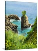 La Grotta On Island Corfu-kirilstanchev-Stretched Canvas